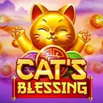 Aplicativo EvolveCasino